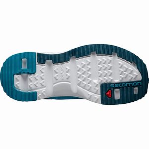 Dámske Sandále & Vodné Topánky Salomon RX SLIDE 4.0 W Modre,263-22661
